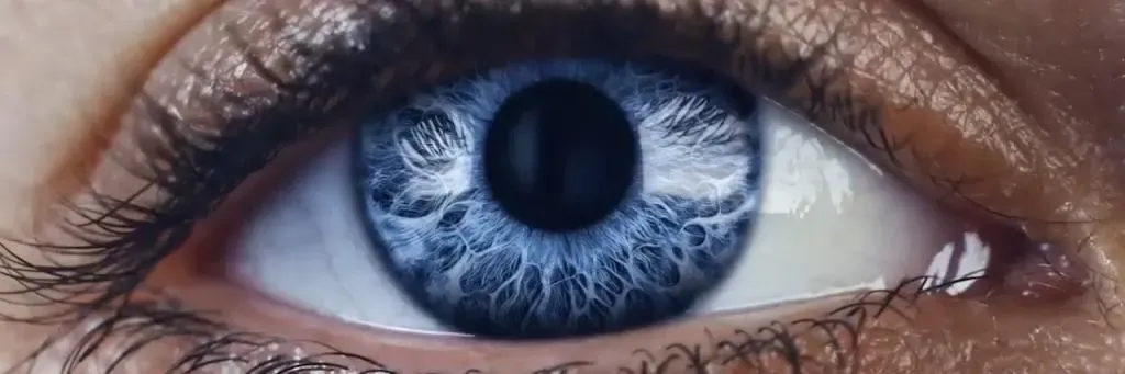 Zeiss eyewear campaign, available at Paris Optical Malaysia