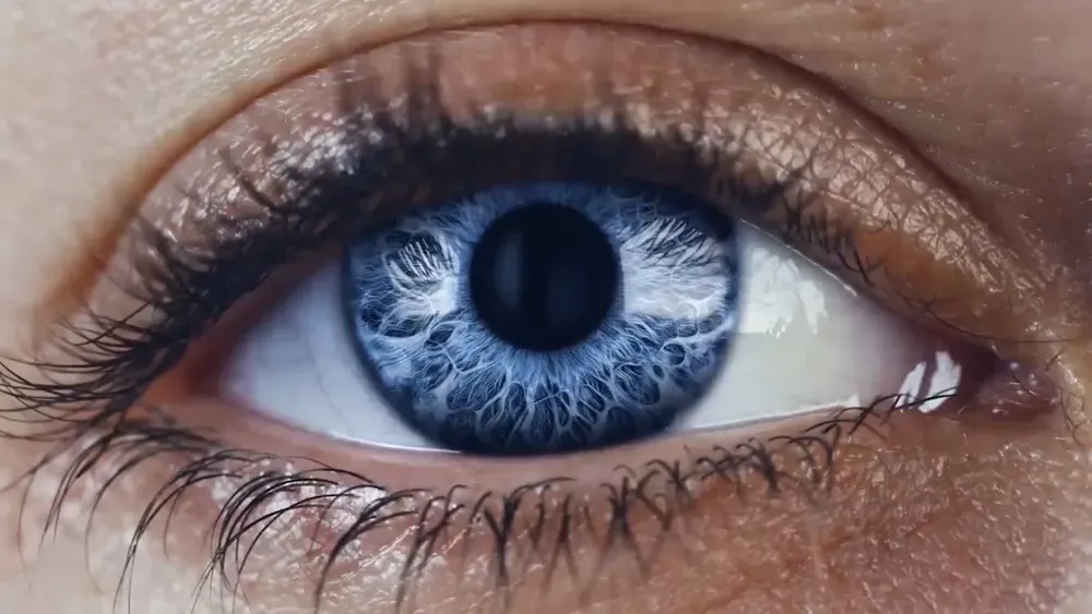 Zeiss eyewear collection at Paris Optical, Malaysia (view 2)